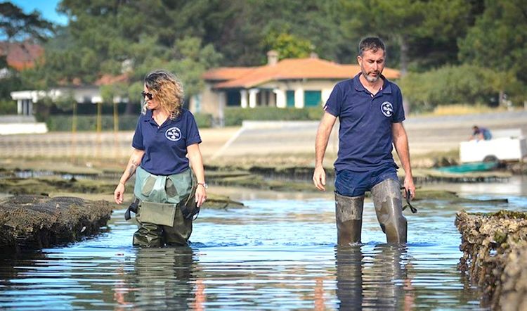 COUP DE CŒUR - Savourez l’huître d’Hossegor si « goûtue » !